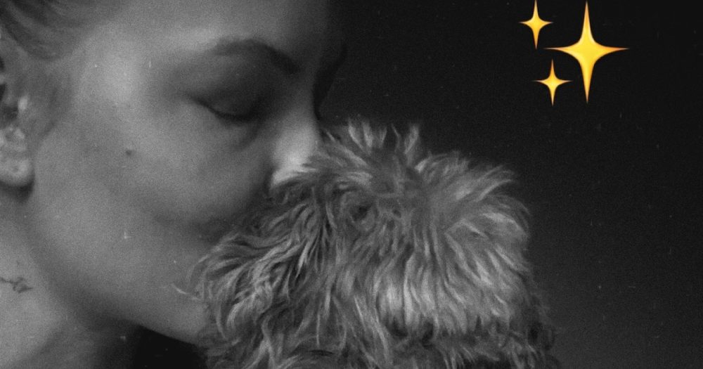 Trauer im Hause Ochsenknecht: Familienhund Cupcake gestorben