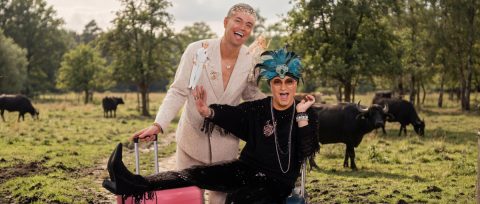 Starke Streamingzahlen für Das Sommerhaus der Stars und Die Verräter