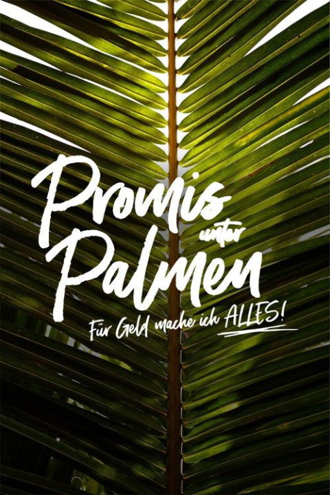 Promis unter Palmen
