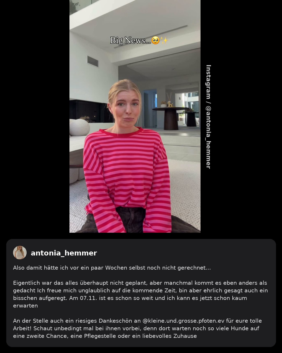 Antonia Hemmer nimmt ab November Pflegehund aus Bulgarien auf